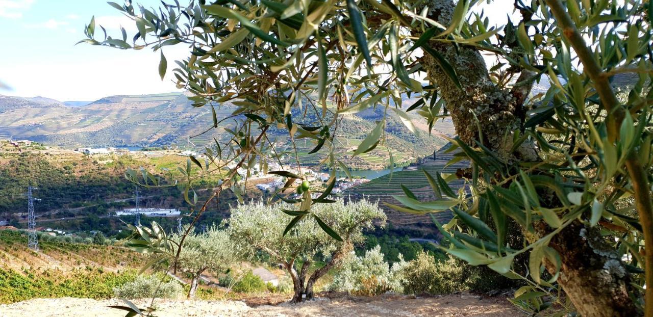 Casa Do Arco By Douro Exclusive Bed and Breakfast Sao Cristovao do Douro Eksteriør billede